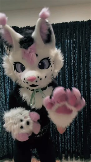 Murasaki♡ on Instagram: "Meow meow~ . . . . . . . #furry #fursuit #cute #fursona #kemonofursuit #alt #anthro #toonyfursuit #catfursuit #hyena #fursuiter #puppy #sona #meow #meowmeow #kitty"
