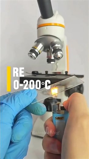 A Microscope detect a Bacteria