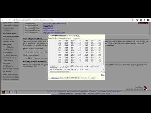 Membrane Builder Tutorial using CHARMM-GUI - Human ACE2 Protein