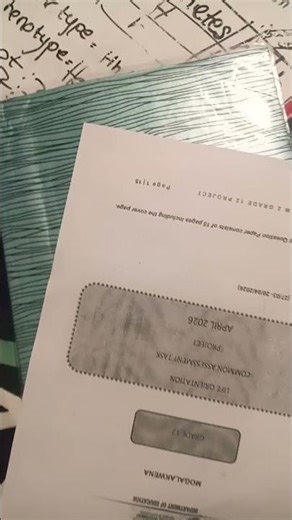 Grade 12 Project 2026