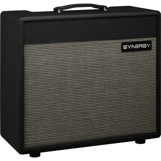 Synergy SYN-20IR 20-watt, 1 x 12-inch Combo Amplifier - No Module Included - Black