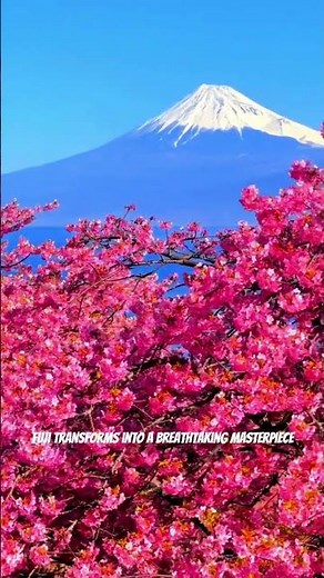 Mount Fuji: Japan's Timeless Natural Wonder 🗻✨ #motivation #facts #travel #quotes