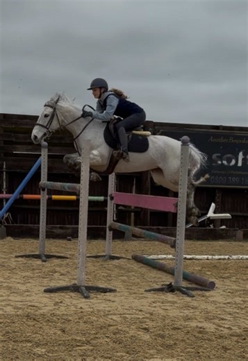 Jumping Misty: A Memorable Experience