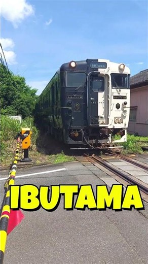 1BUTAMA【指宿のたまて箱】生見踏切通過🚆🌊 #shorts