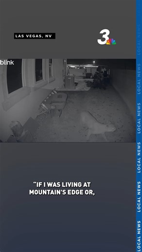 100K views · 775 reactions | A southeast neighborhood near Boulder...