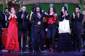 Flamenco bulería, the festive style of flamenco | El Palacio Andaluz