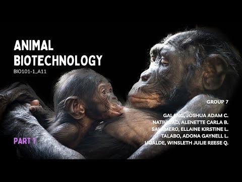 Animal Biotechnology (Part 1: Introduction) | BIO101-1 1T2526 A11 Group 7