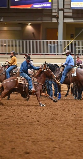 •DOT COM VEGAS• •Hip 291• 2019 Head Horse Sells at Triangle Horse Sales Winter Sale Jan 22-24 Seven-year-old gelding that’s been hauled and won on. He’s ready to go straight to the jackpots and is easy enough for anybody to ride. Gentle, honest, and user-friendly with a great mind. He’s been around since he was a three-year-old, hauled, seasoned, and knows his job. Sound, solid, and takes care of his rider. Good looking with the kind of presence that turns heads in the arena. Whether you’re look