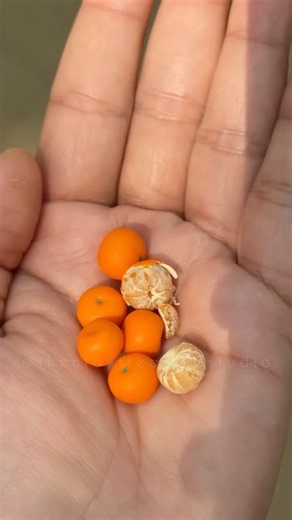 Miniature Orange Handmade with Polymer Clay 🍊