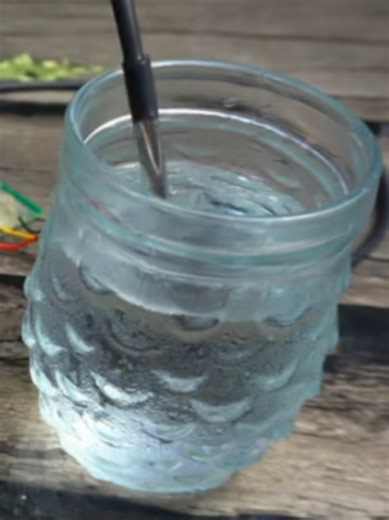 Raspberry Pi Pico cricket Chirping project. Watch full video on my YouTube channel Electronic Clinic and read the article on my website link is in the bio. #raspberrypipico #chirping #arduino #electronics #learnontiktok