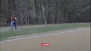 87K views · 341 reactions | Trying to catch me some dinner #armadillo | Funny Videos | Facebook