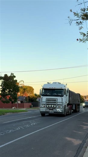 Freightliner Argosy - - #fyp #freightlinerargosy #tarpjob #milduratruckspotter #viralvideo