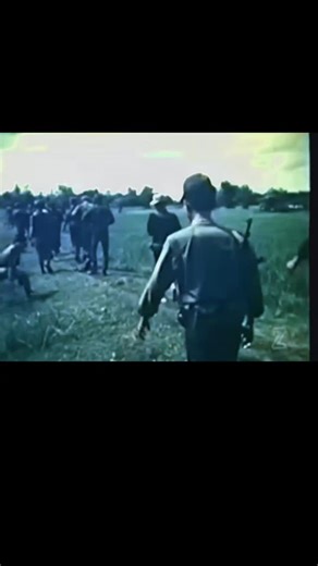 Huey Helicopters in Vietnam #militarylife #usarmy #specialforces #vietnamwar #usmarines #soldier #semperfi | The Giant Killer