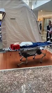 Robot Training in Hospital #RobotTraining #HealthcareTech #HospitalInnovation #USA #AdvancedTech | Daily Dose of Facts