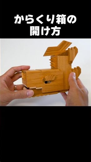 How to open? "Shachihoko-shaped box" #puzzlebox #Puzzle #Shorts