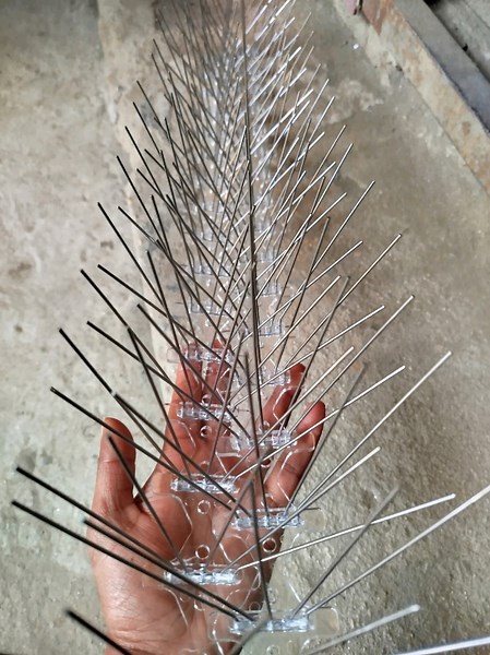 #anti bird spike@manisha grg @Smritee
