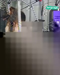 5.9M views · 55K reactions | Clever pup figures out how to hack training day ‍了藍 | Furry Tails | Facebook