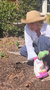 Wondering when and how to fertilize your blueberries? 🫐 @potagerblog is here to give us the 4-1-1! 📝 Get out your notepads, it’s time to hit the blueberry books! #blueberries #fertilizing #howto #gardening | Southern Living Plant Collection