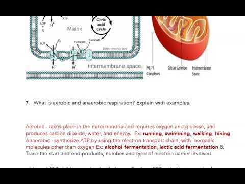 BIOLOGY EXAM 3 PRACTICE QUESTIONS AND ANSWERS