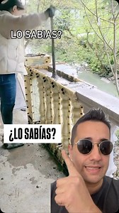 6.3K views · 5.6K reactions | Sabías realmente que esto se hacía así con un molde de plástico, para mí es increíble… • #Tips #Tecnología #Matu_Grabando #Construcción | Matu Tips | Facebook
