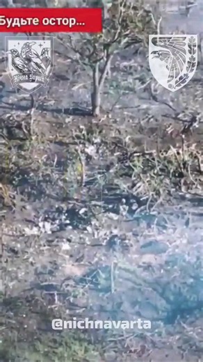 Close quarters battle near Bakhmut. Ukranian soldier eliminates a Russian who attempted to hide behind a tree