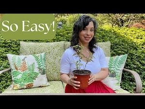 HOW I MAKE $500 WEEKLY Selling Plants from My Garden!