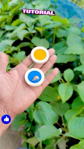 ￼ colour changing magic tricks #magictrickssecret #magic #youtubeshorts #magicperformance