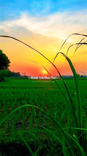 Tu rooh hai toh main kaaya Banu 🦋🥀 Neeti Mohan sapna Jahan 🌴🌻#neetimohan​ #lyrics #villagelife