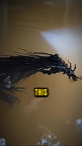 Backyard meteorite turn into something creepy.. #scary #paranormal #analog #mimic | Banned clips