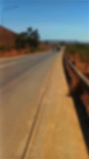 Exploring Freightliner and Detroit Trucks