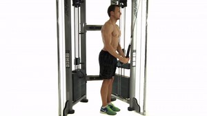 Triceps Cable Rope Pushdown
