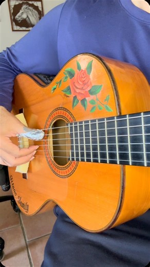 Bleach Hueco Mundo Spanish guitar theme ost flamenco rumba anime fingerstyle music song #bleach #huecomundo #guitare #fingerstyle #guitartok #foryou | LucasGitanoFamily