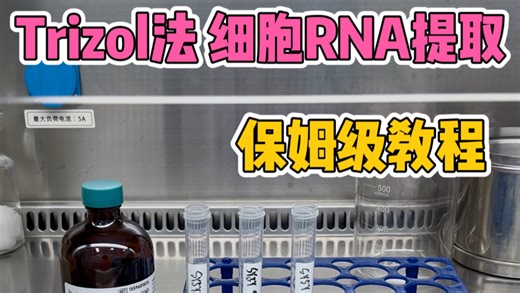科研实操教学 | Trizol法 细胞RNA提取