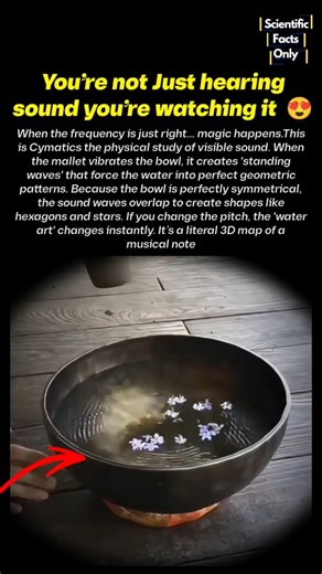 What Sound Looks Like in Water 🤯💦 #sciencefacts #nature