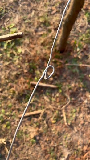 4.5K views · 17 reactions | Super Wire Tension System You Need NOW! #knot #rope #knottutorial #knottutorials #campinghacks #camping #knotsforfishing #knotsforbeginners #lifeskill #lifehack #boyscouts #bushcraft #survivalskills #outdoors #knotting #sheetbend #hitch #simpleknot #bestknot #knotsforcamping | Knots Master | Facebook