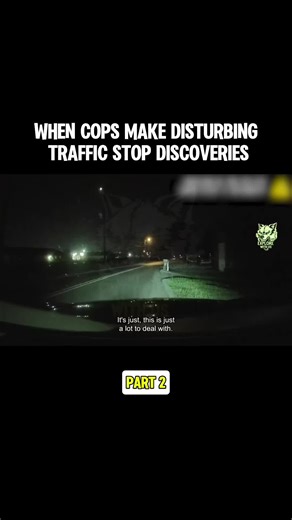 Disturbing Discoveries During Traffic Stops