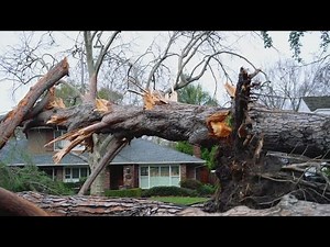 Northern California Storm | Light, steady rain forecast for Wednesday amid winter storms