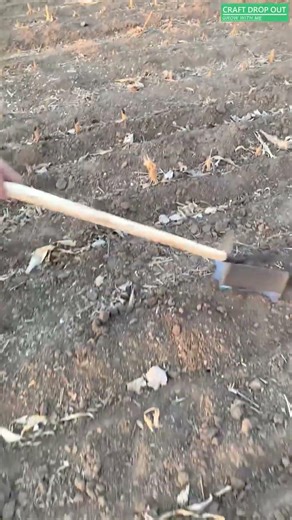 🌿⛏️ Ingenious Wing-Blade Hoe for Soil Gathering and Weeding