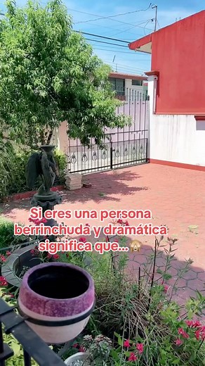 Si eres berrinchuda y dramática significa que…😅 | Hermanos Pancardo