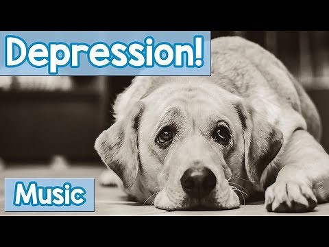 Music for Depressed Dogs! 15 Hours of Healing Pet Therapy Music for Your Depressed Dog or Puppy!