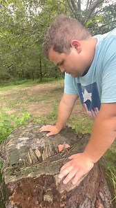 This tree is infested with frogs | Shirtless Jake's Homestead