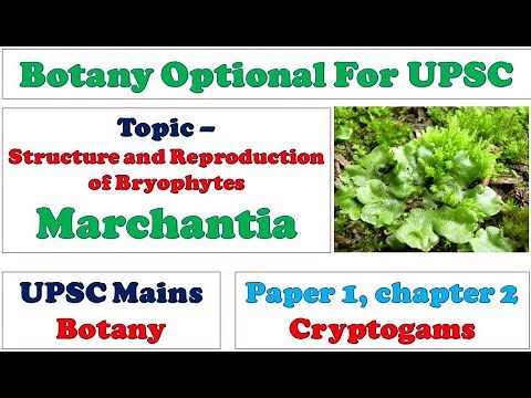 Structure and Reproduction in Bryophytes Marchantia: Gametophyte: Sporophyte: Gemma Cups: Anatomy