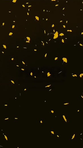 HAYDEN Lunar New Year Collection — Bloom of Fortune 🌸✨ A modern ode to renewal, grace, and abundance. Bloom of Fortune celebrates the quiet strength of femininity—where vibrant green symbolizes growth and new beginnings, while sculpted florals bloom as emblems of prosperity and blessings for the year ahead. Set against a timeless heritage backdrop, this look bridges tradition and contemporary elegance—crafted for women who move forward with confidence, purpose, and poise. May this Lunar New Yea