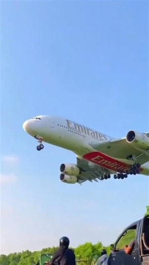 airplane crash safety system | Fact #shorts #fact