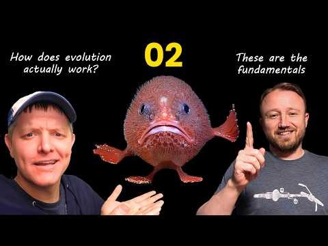 Flagella Evolution? 02: Competence without comprehension