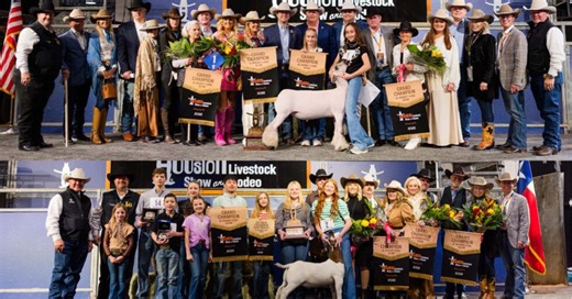 Grand champion lamb sells for $1M at Houston Rodeo auction | AGDAILY