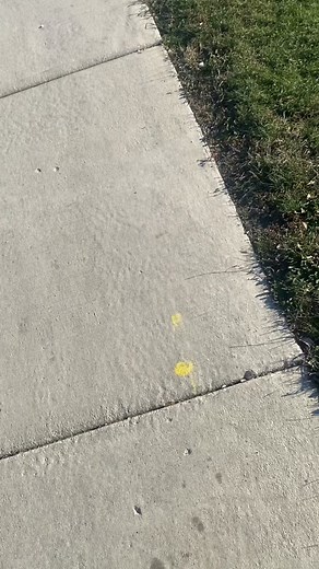 🤓#chicago #warthunder #gaijin #TECES