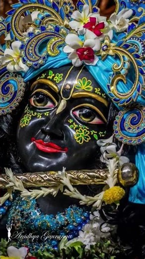 ✨ श्री कृष्ण भक्ति स्टेटस | Radhe Krishna Divine Love | Krishna Blessings 🙏✨राधे राधे 🙏 #yt #shyam