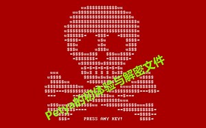 Petya的体验与解密文件