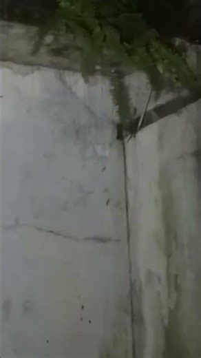 SUASANA DAN LOKASI KUNTILANAK
